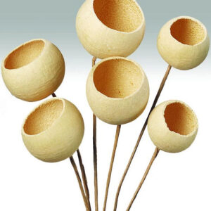 Bell Cups