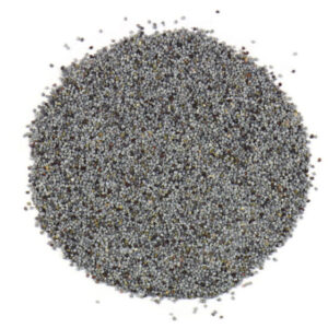 Poppy Pod Seeds